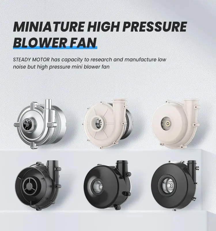 1SteadyMotor blower