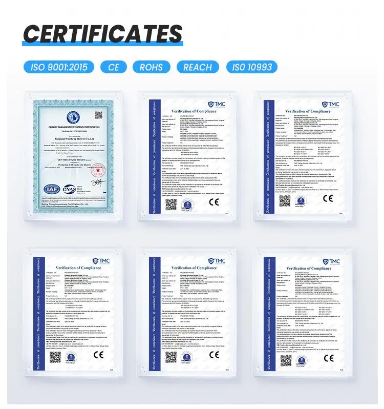 9steadymotor certification