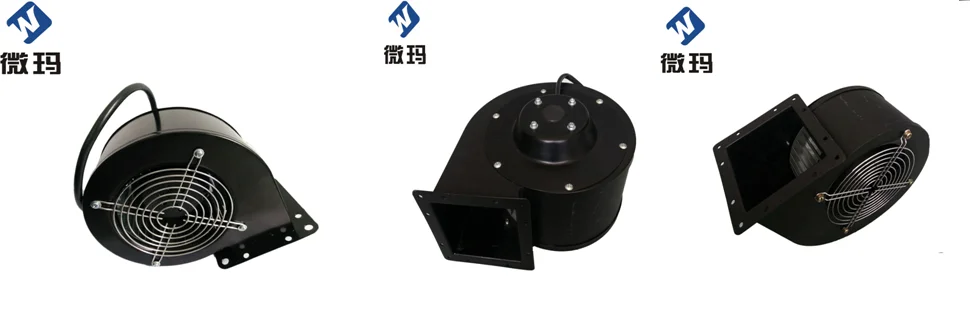 paste-pic-dp_uuid_5qnrw