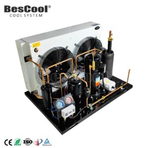 BesCool New Open-Air Copeland Scroll Compressor Walk-In Freezer Condensing Unit Automatic Energy Saving