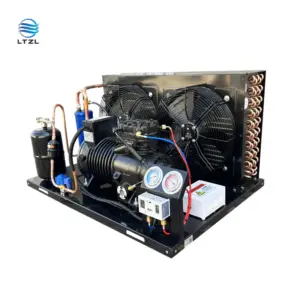 1HP 2HP Condensing Unit Manufacturer Unit Customized Condensing Unit Production As Per Requirement