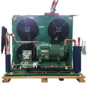 Air Cooled Refrigeration Unit Cold Storage Core Components Including Motor Gear Cold Room Compressor Condensing Unit 180kg