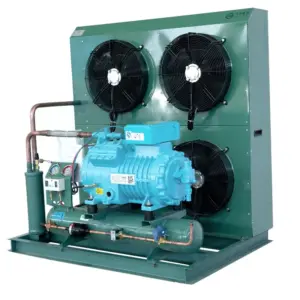 China Factory Sale Cold Room Unit 5hp 10hp 15hp 20hp 30hp 50hp 220 Volts Condensing Unit Compressor Condenser Units