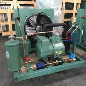 Cooling Compressor System Condenser Unit Refrigeration Cold Storage Room Freezer Condensing Unit