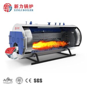 Ripple Furnace Gas 3-ton Natural Gas Boiler Biogas Steam Generator