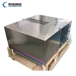 Roof-mounted Copeland Compressor Energy Saving Stainless Steel Monoblock Condenser Unit 50ton Cooling Capacity for Cold Room