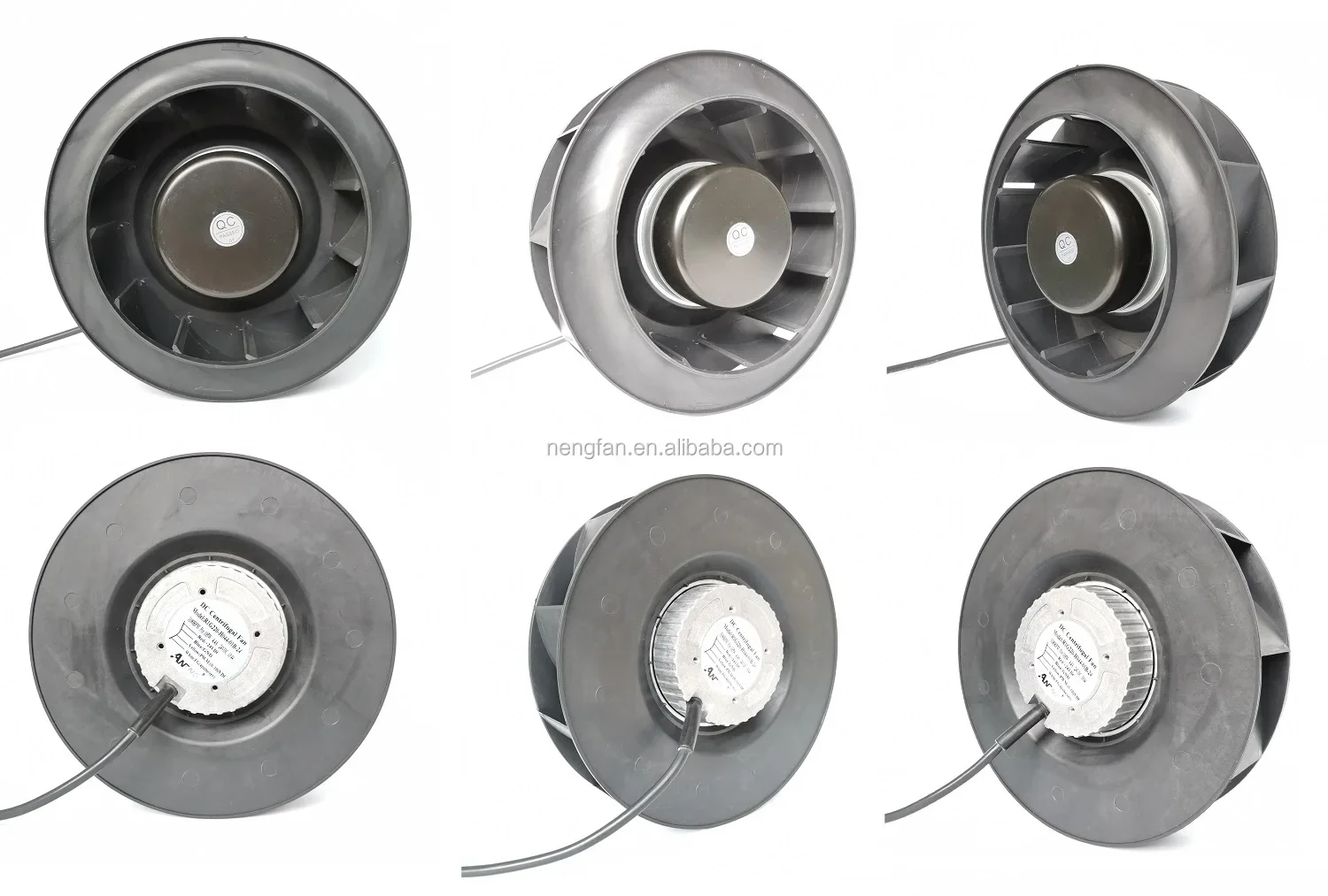 IMG_20200404_145055 - .jpg