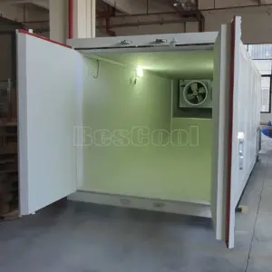 20 Feet Shipping Freezer Container Cold Storage Room for Farm Frozen Bayberry