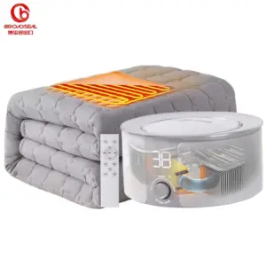 Winter Water Heated Electric Blanket Circulation Mattress Dual Temperature Dual Control Quiet Quick Heat Automatic Power Cold