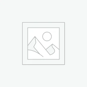 Women's Mint Sneaker